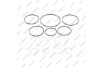Комплект уплотнительных колец (12шт.)