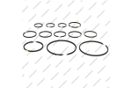 Комплект уплотнительных колец (12шт.)
