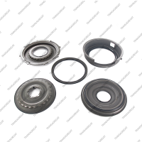 Комплект поршней (5шт., обрезиненные)