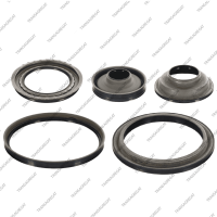 Комплект поршней (5шт., обрезиненные)