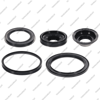 Комплект поршней (5шт., обрезиненные)